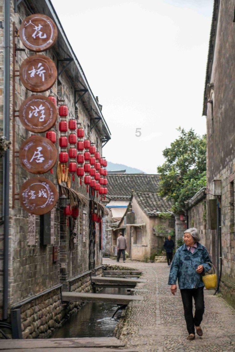植物大战僵尸1